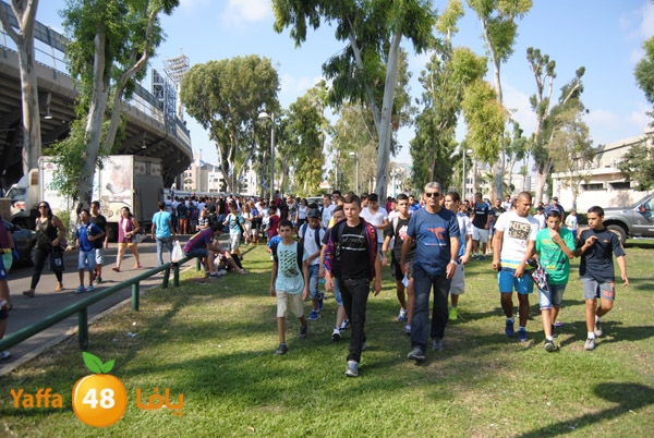 blomfeiled 803 (8).JPG